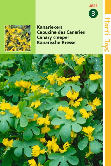 Kanariekers (Tropaeolum peregrinum) 35 zaden HT